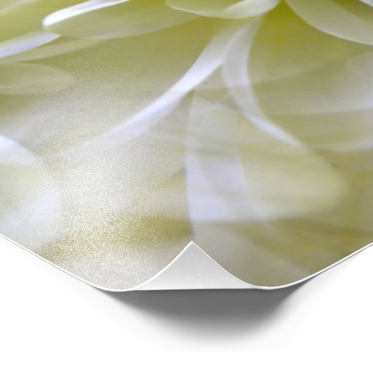 菊 フォトプリント            (角)