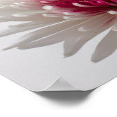 菊 ポスター (角)