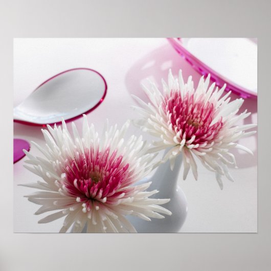 菊 ポスター (正面)