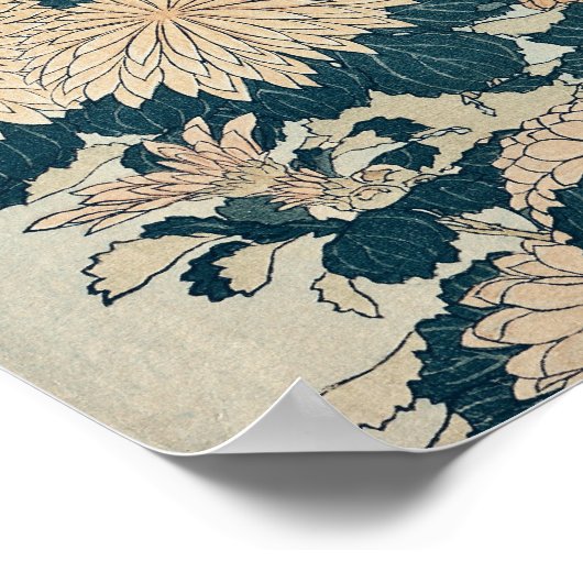 菊 ポスター (角)