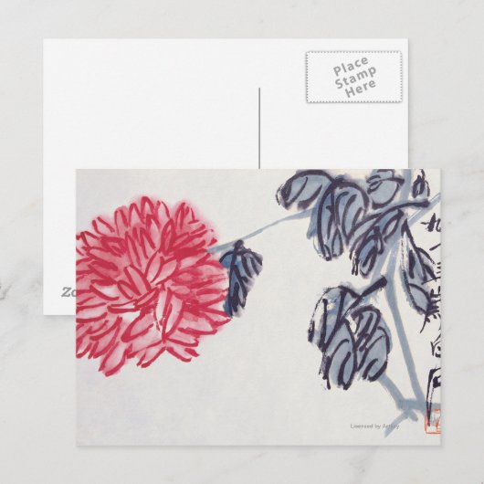 菊 ポストカード (正面/裏面)