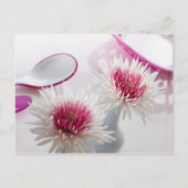 菊 ポストカード (正面)