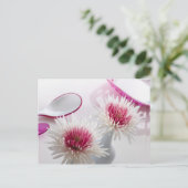 菊 ポストカード (スタンド正面)