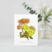 菊 ポストカード (スタンド正面)