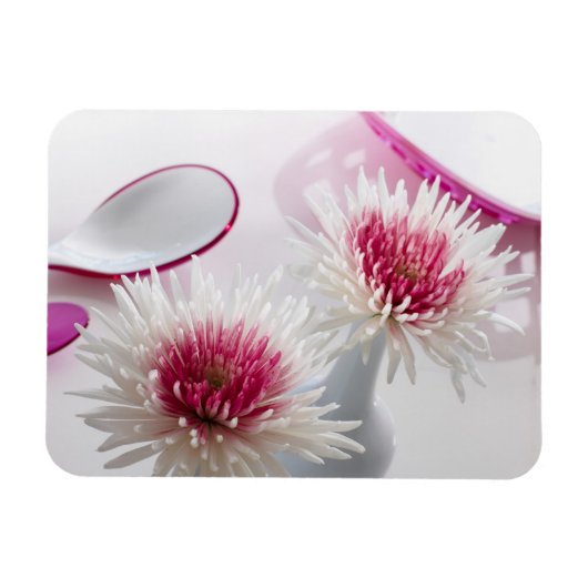 菊 マグネット (横)