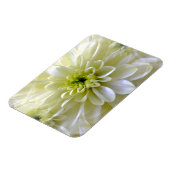 菊 マグネット (左側)