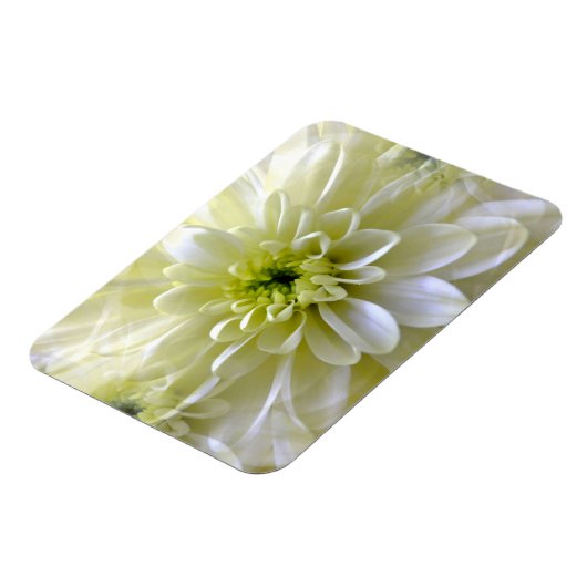 菊 マグネット (左側)