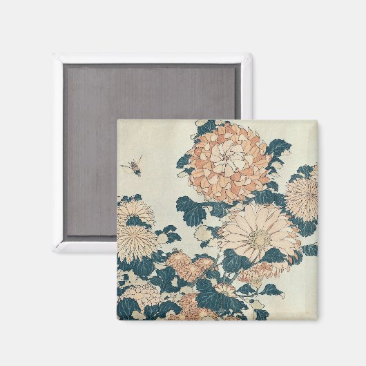 菊 マグネット (正面/裏面)