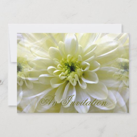 菊 招待状 (正面)