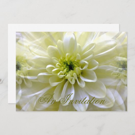 菊 招待状 (正面/裏面)