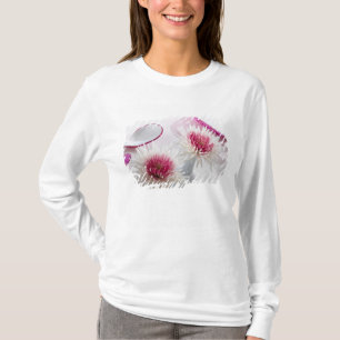 菊 Tシャツ