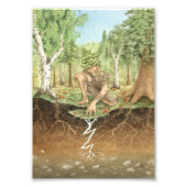 菌根菌 フォトプリント (正面)