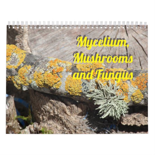 菌糸、キノコ、真菌 カレンダー (カバー)