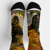 菌類の飼育場 ソックス (上部)