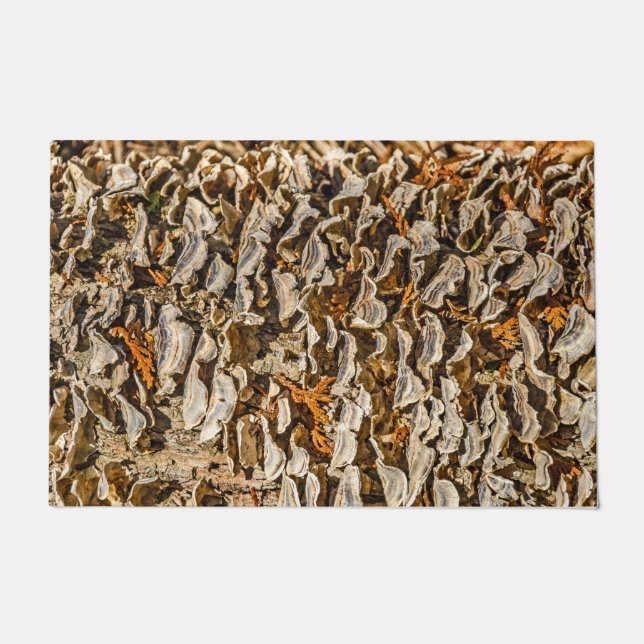 菌類への魅了 ドアマット (正面)