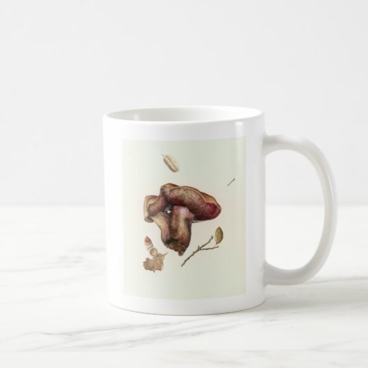 菌類 コーヒーマグカップ (右)