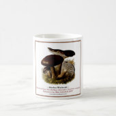 菌類#11 コーヒーマグカップ (中央)