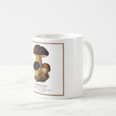 菌類#2 コーヒーマグカップ (正面右)
