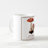 菌類#8 コーヒーマグカップ (正面左)