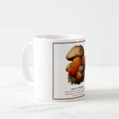 菌類#9 コーヒーマグカップ (正面左)