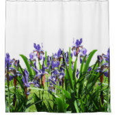 菖エレガント蒲の花    シャワーカーテン (正面)