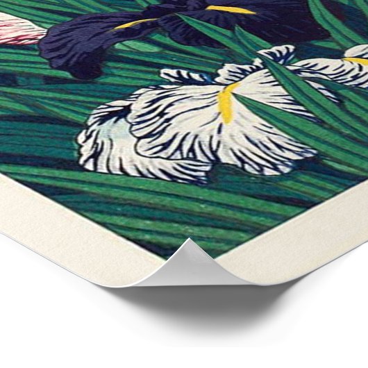 菖蒲, Iris, Hasui Kawase, Woodcut ポスター (角)