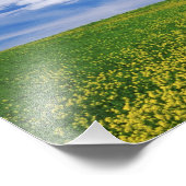 菜の花や菜の花の畑，パルーズ フォトプリント            (角)