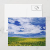 菜の花や菜の花の畑，パルーズ ポストカード (正面/裏面)