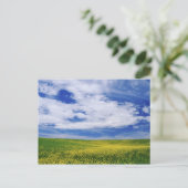 菜の花や菜の花の畑，パルーズ ポストカード (スタンド正面)