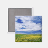 菜の花や菜の花の畑，パルーズ マグネット (正面/裏面)