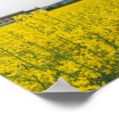 菜種場 ポスター (角)