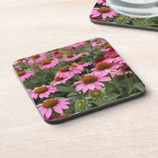 華やかなピンクのエキナセアの花とミツバチ コースター (左側)