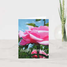 華やかなピンクのバラの花と青葉色の緑の花