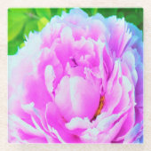 華やかな八重のピンクの芍薬の花のディテール ガラスコースター (正面)
