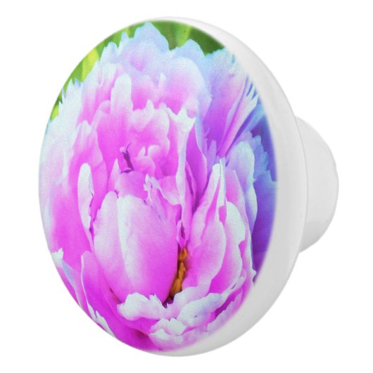 華やかな八重のピンクの芍薬の花のディテール セラミックノブ (右)