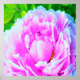華やかな八重のピンクの芍薬の花のディテール ポスター