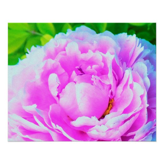 華やかな八重のピンクの芍薬の花のディテール ポスター (正面)
