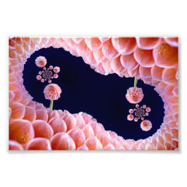 華やかな考え フォトプリント