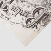 華美台本ミュージックレディーバードデクページ 薄葉紙 (詳細)