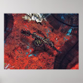 華美幽霊 ポスター (正面)