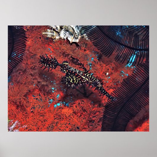 華美幽霊 ポスター (正面)