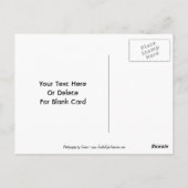 華美赤いハートカスタマイズはがき ポストカード (裏面)