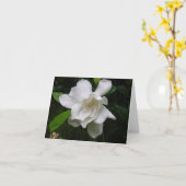 華麗で白い夏の庭の開花のメッセージカード カード (黄色い花)