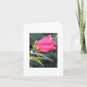 華麗で赤い花とのNotecard カード
