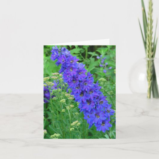 華麗で青いヒエンソウNOTECARD カード (正面)