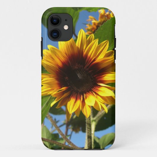 華麗なヒマワリのiPhoneの場合 Case-Mate iPhoneケース (裏面)
