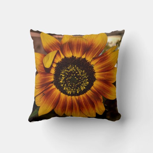 華麗なヒマワリ クッション (裏面)