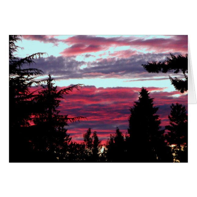 華麗な日没 (正面横)