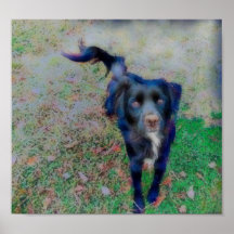 華麗白熱［赤熱］光を放つ繊維の煙絵を描