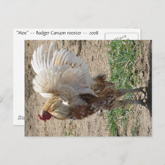 「萌え」 ポストカード (正面/裏面)